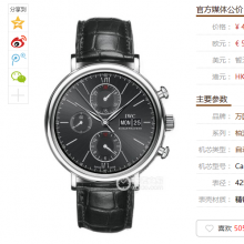 V6万国柏涛菲诺系列IW391010腕表，自动机械