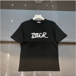 2021SS早秋新品Dior迪奥男士刺绣标识短袖T恤